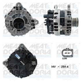 Lichtmaschine von MEAT & DORIA