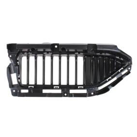 Acquista Griglia paraurti da BLIC 6502-07-7800912P a buon mercato per soli 43,51 €