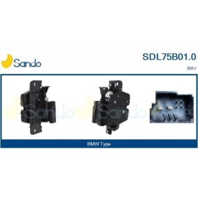 Lenkgetriebe SSB78925.0