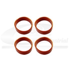 Dichtungssatz, Ansaugkrümmer 85133 von 3RG günstig für 7,87 € online kaufen