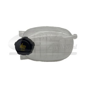 Acquista Vaschetta acqua radiatore da 3RG online per Clio V Hatchback (BF) a prezzi moderati
