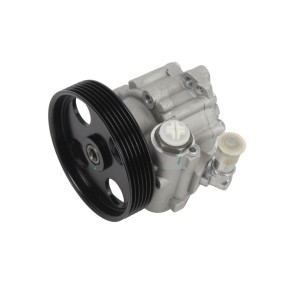 Servopumpe 140-01-221
