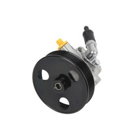 Servopumpe 140-01-312
