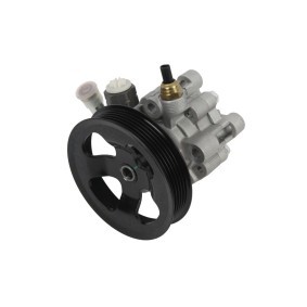 Servopumpe 140-01-382