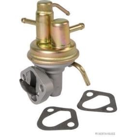 Kraftstoffpumpe J1608000