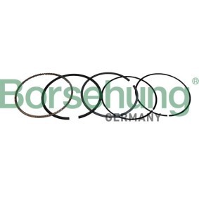 Compre Segmentos de pistón de Borsehung online para 6 Cabrio (E64) a precios moderados