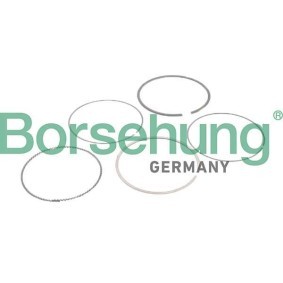 Kolbenringsatz für BMW von Borsehung