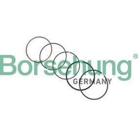 Köp Kolvringsats av Borsehung B10374 till det låga priset 593,42 kr