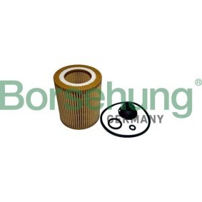 Ölfilter für BMW von Borsehung
