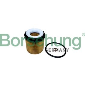 Ölfilter für BMW von Borsehung