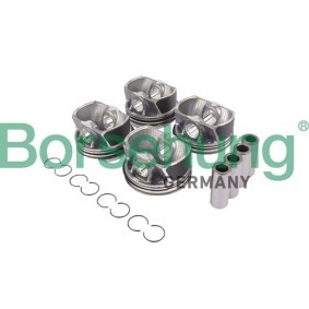 Kolbenringsatz für BMW von Borsehung