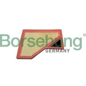 Køb Luftfilter af Borsehung B12442 til den lave pris 170,89 DKK