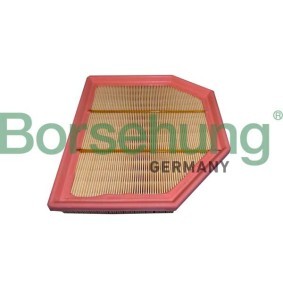 Luftfilter für BMW von Borsehung