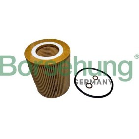 Ölfilter für BMW von Borsehung