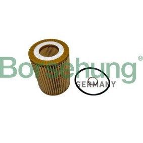 Ölfilter für BMW von Borsehung