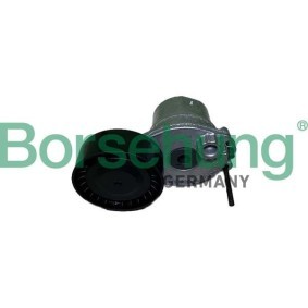 Compre Tensor de correia, correia trapezoidal estriada da Borsehung B12466 a um preço baixo por 162,58 €