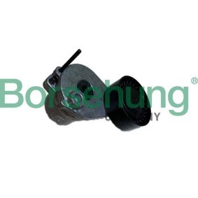 Compre Tensor de correia, correia trapezoidal estriada da Borsehung B12467 a um preço baixo por 156,14 €