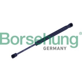 Motorhaubendämpfer für BMW von Borsehung