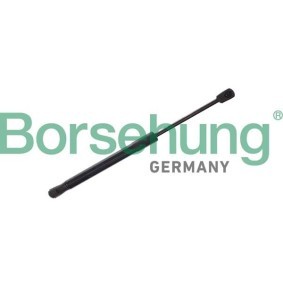 Motorhaubendämpfer für BMW von Borsehung