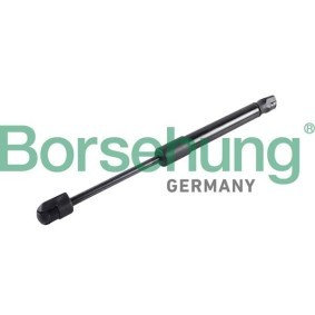 Motorhaubendämpfer für BMW von Borsehung