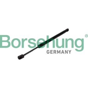 Motorhaubendämpfer für BMW von Borsehung