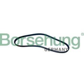 Keilrippenriemen für BMW von Borsehung