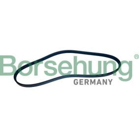 Keilrippenriemen für BMW von Borsehung