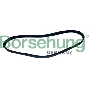 Keilrippenriemen für BMW von Borsehung