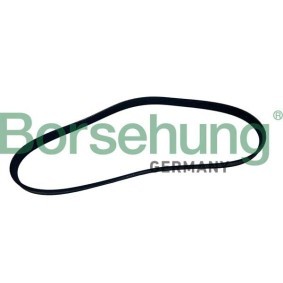Keilrippenriemen für BMW von Borsehung