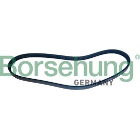 Keilrippenriemen für BMW von Borsehung