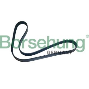 Keilrippenriemen für BMW von Borsehung