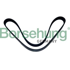 Keilrippenriemen für BMW von Borsehung