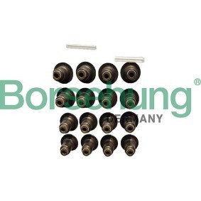 Köp Ventiltätning av Borsehung B12506 till det låga priset 647,62 kr