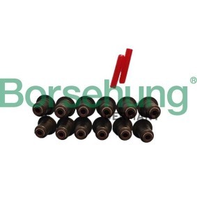 Köp Ventiltätning av Borsehung B12508 till det låga priset 504,55 kr
