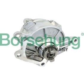Unterdruckpumpe, Bremsanlage von Borsehung günstig für 239,76 €