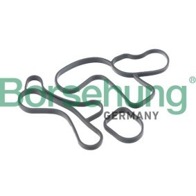 Köp Packning, oljekylare av Borsehung B12530 till det låga priset 268,55 kr