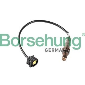 Lambdasonde von Borsehung