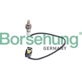 Lambdasonde von Borsehung