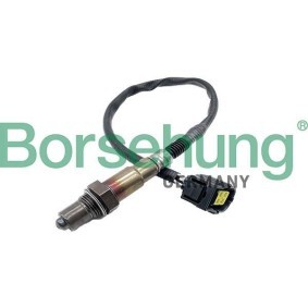 Lambdasonde von Borsehung