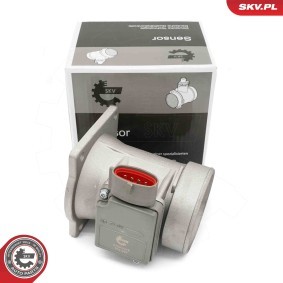Luftmassenmesser (LMM) 07SKV218