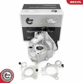 AGR-Ventil 14SKV259