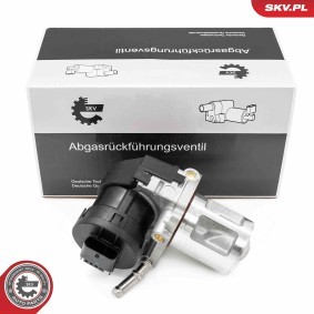 AGR-Ventil 14SKV261