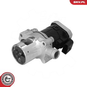 AGR-Ventil für TOYOTA von ESEN SKV