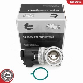 Comprar Válvula EGR de ESEN SKV 14SKV275 a bajo precio de 160,69 €