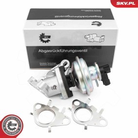 AGR-Ventil für TOYOTA von ESEN SKV
