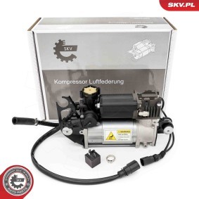 Compre Compressor de suspensão a ar da ESEN SKV 58SKV524 a um preço baixo por 379,65 €