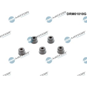 Reparatursatz, Kupplungsgeberzylinder DRM01010G