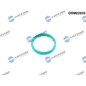 Dichtung, Ölkühler DRM02829