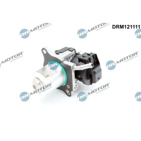 AGR-Ventil DRM121111