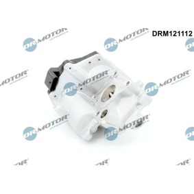 AGR-Ventil DRM121112